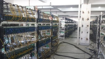 High-performance ASIC mining rigs operating in a cryptocurrency farm