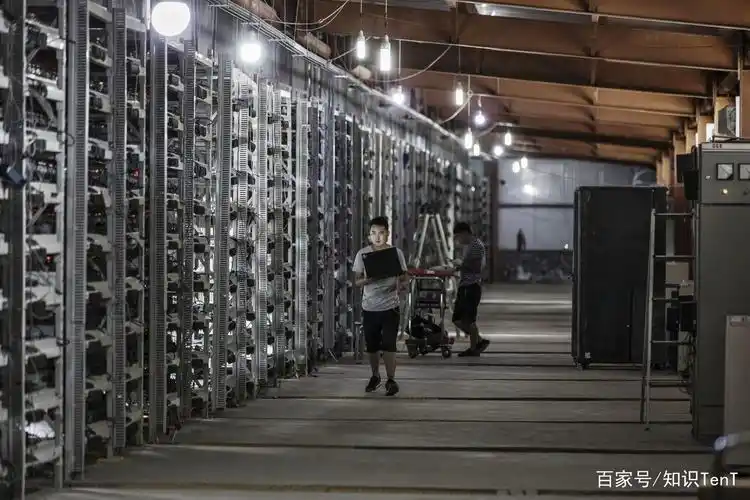 Close-up of a modern mining rig optimized for cryptocurrency